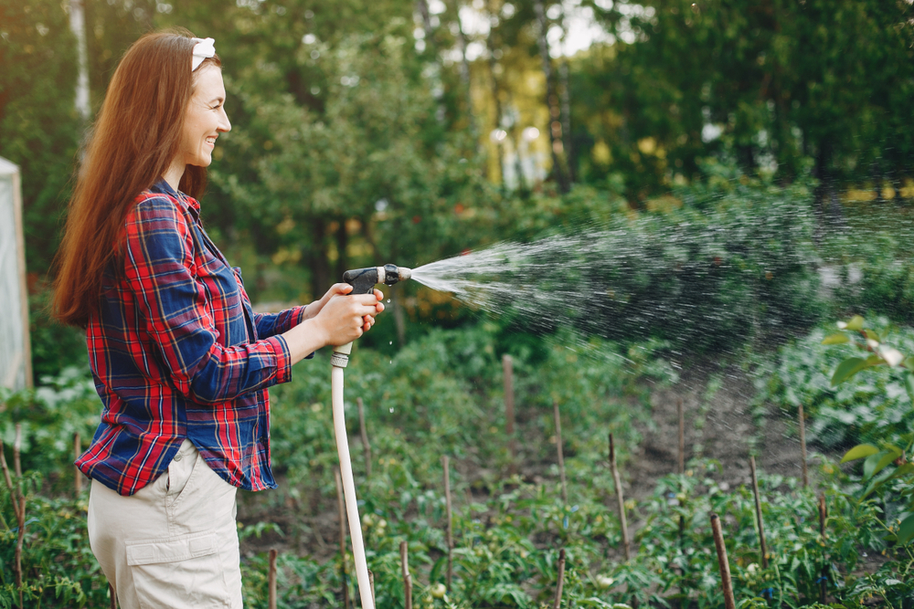 Mindful garden watering: balancing water use and conservation - FamilyFeed